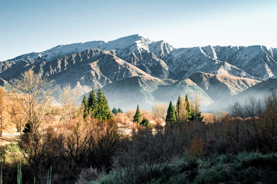 green trees near snow covered mountain during daytime in Arrowtown New Zealand