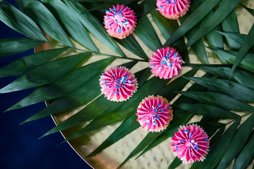 pink and green flower in close up photography