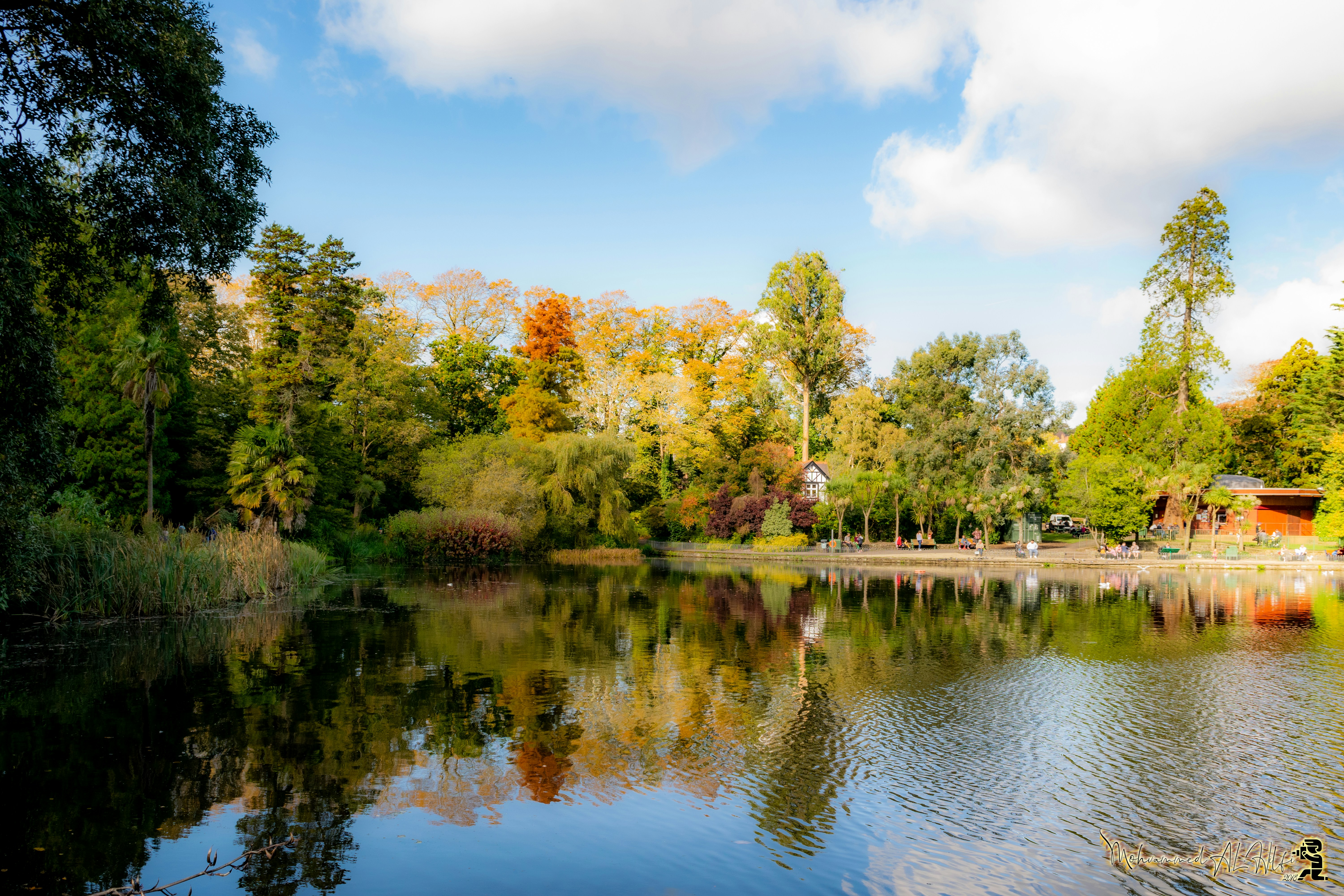 Photo by mohammedalhilfi