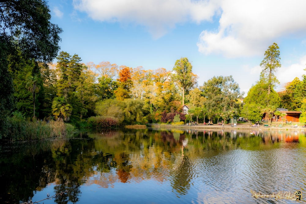 green and brown trees beside river under blue sky during daytime