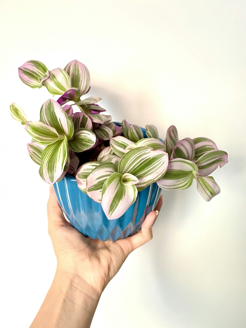 green and purple flower bouquet