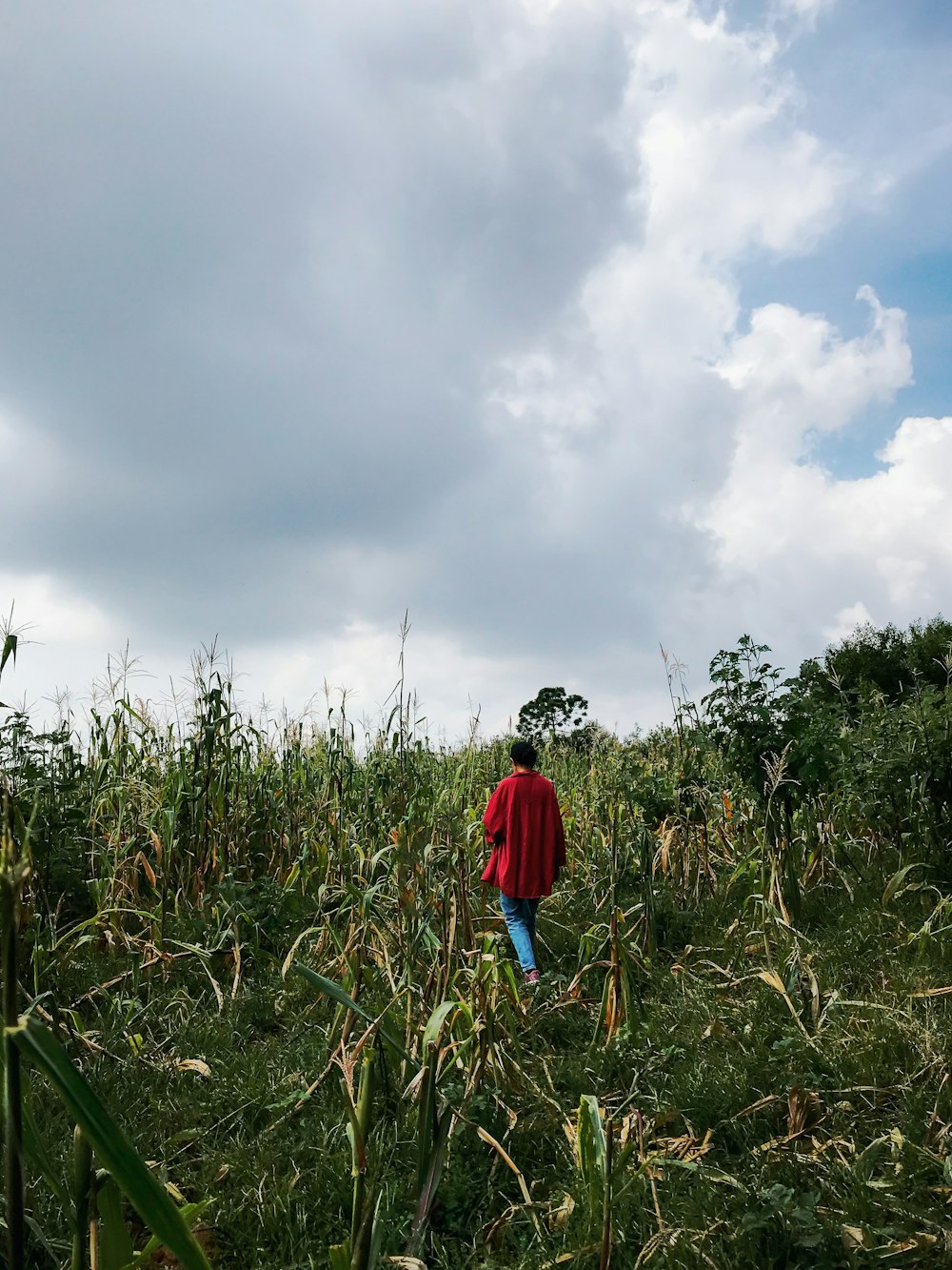 person in red jacket walking on green grass field under white clouds during daytime