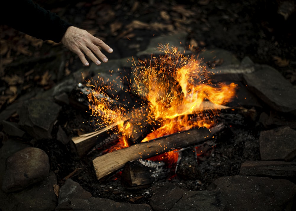 person holding burning woods during daytime