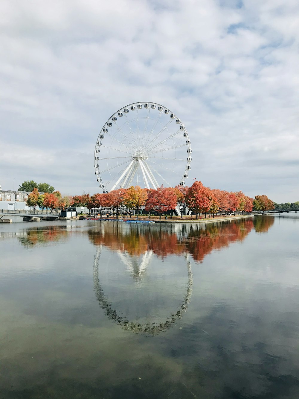 white ferris wheel near body of water during daytime