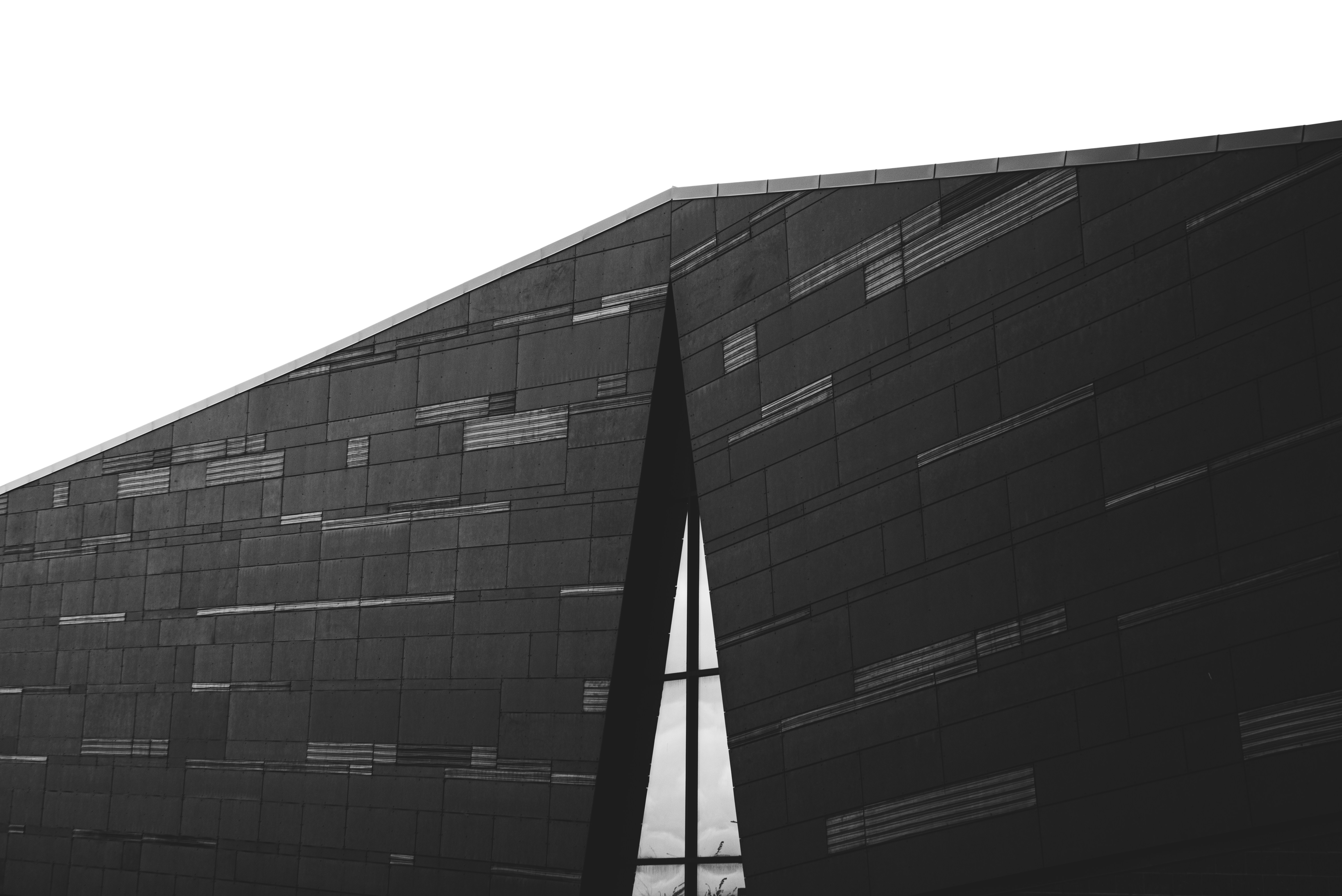 Photo by ryunosuke_kikuno