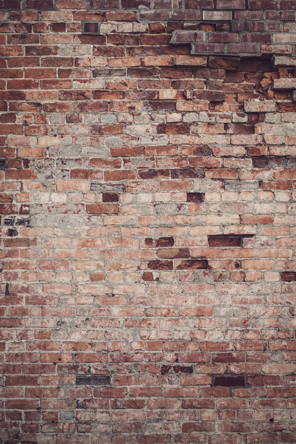 mur de briques brunes et blanches