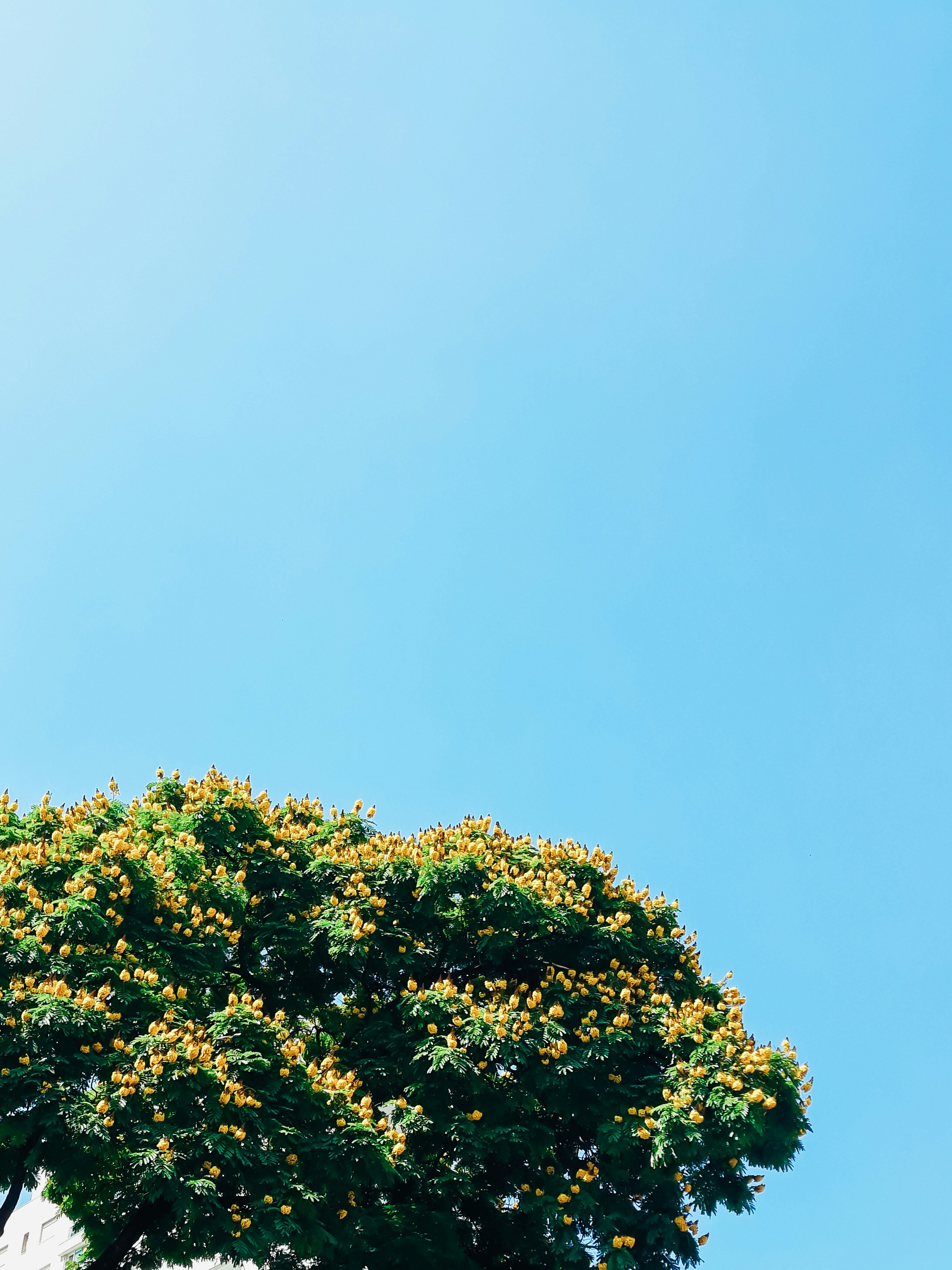 Photo by claitonconto