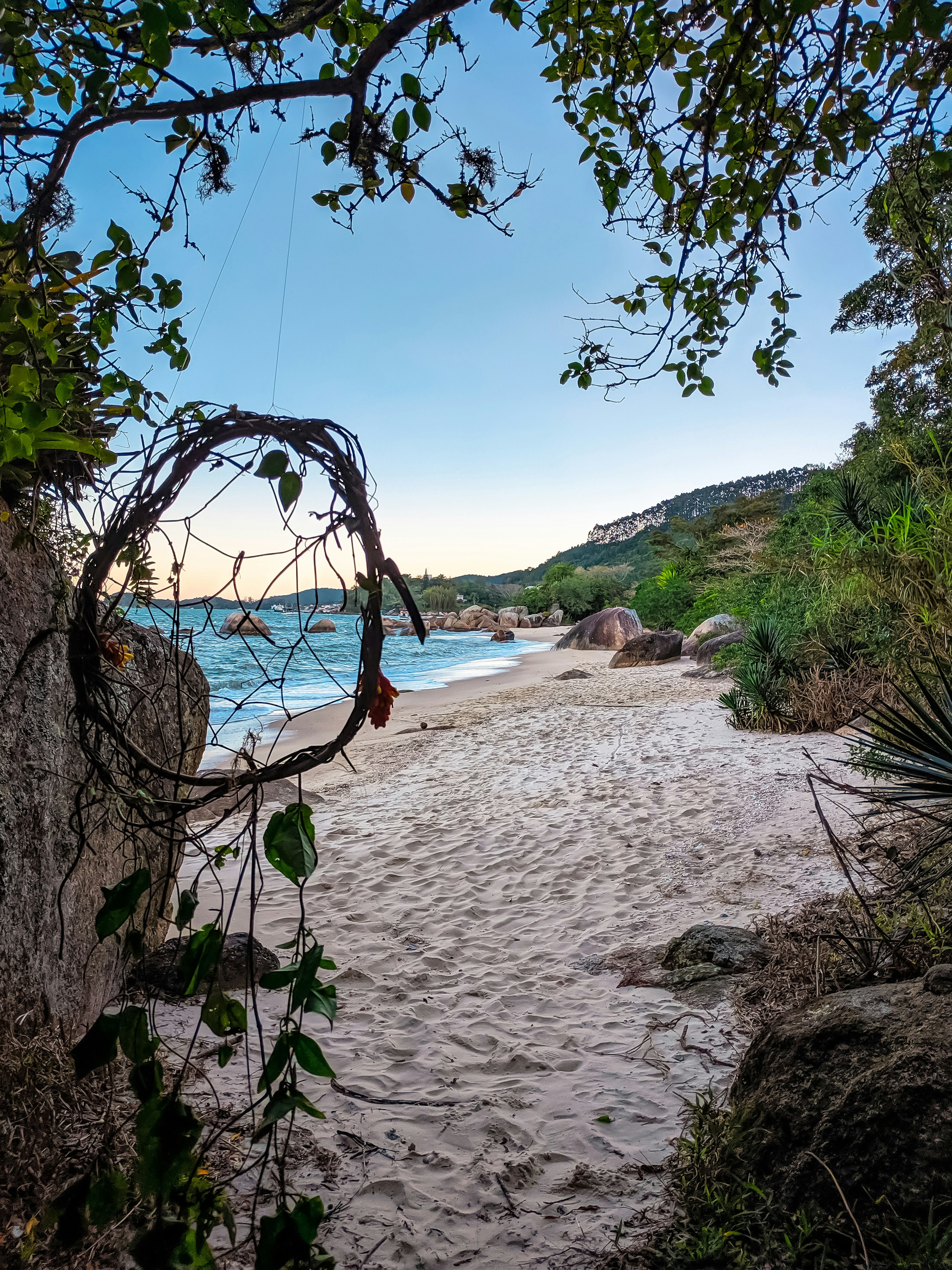 pessoas na praia durante o dia