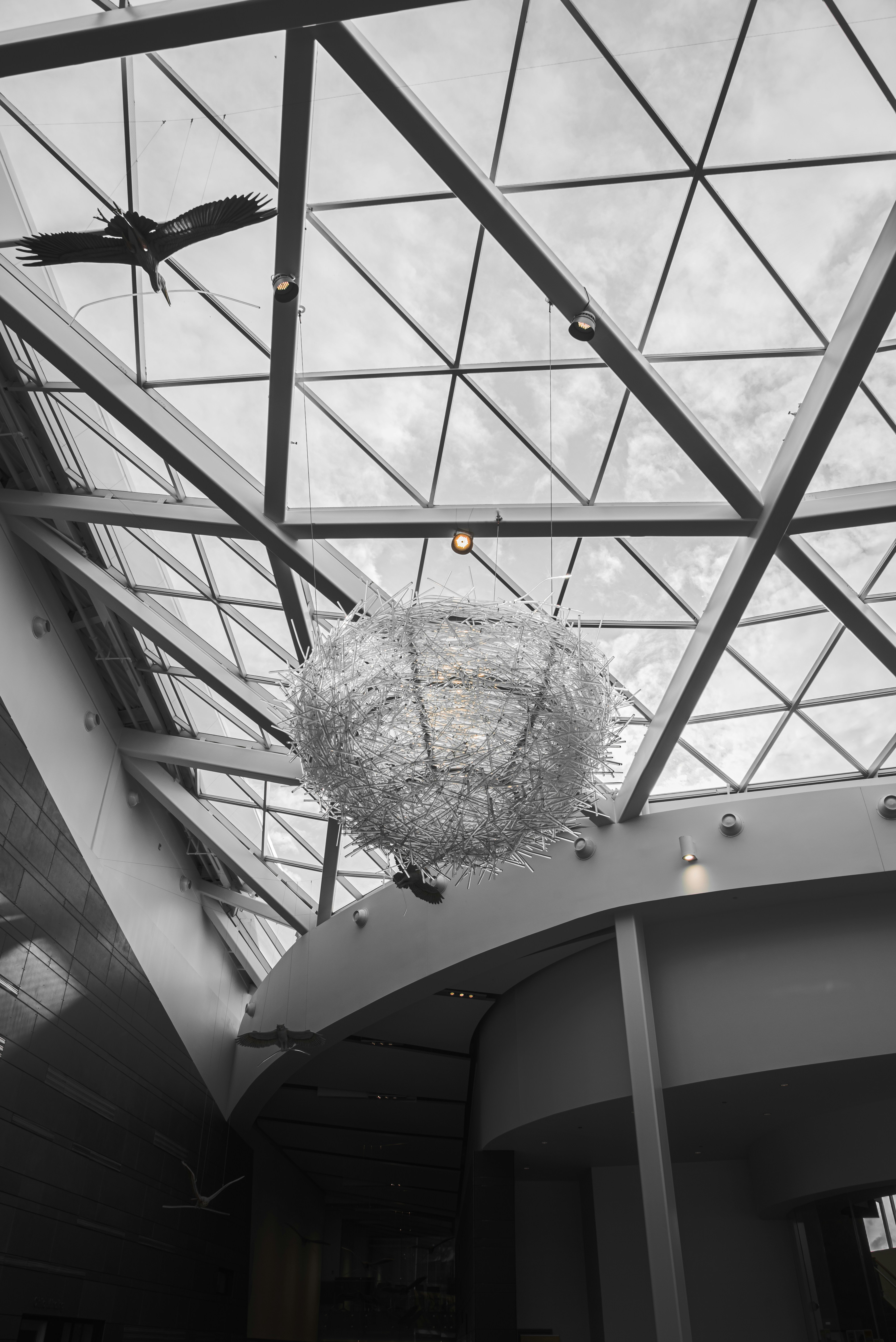 Photo by ryunosuke_kikuno