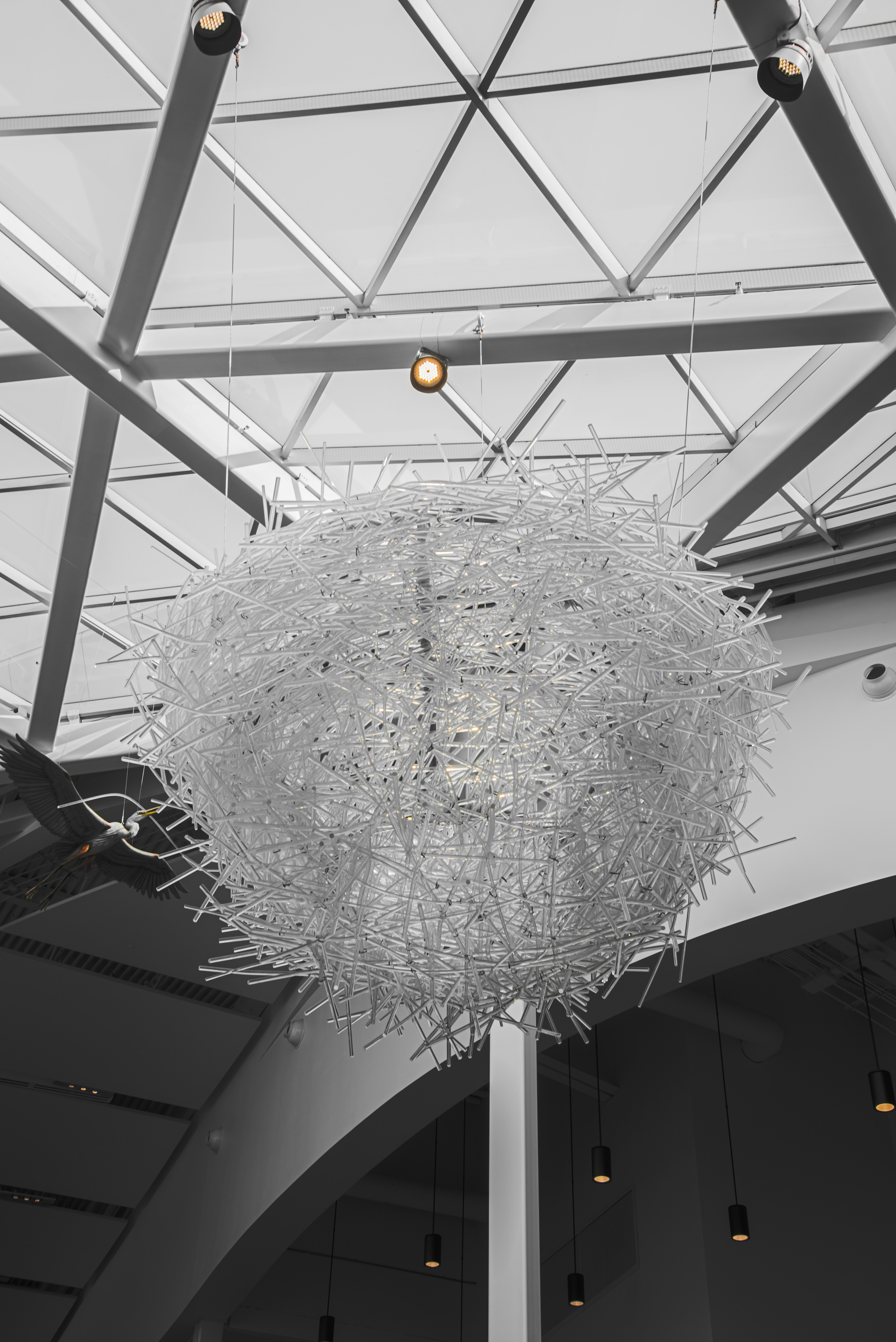 Photo by ryunosuke_kikuno