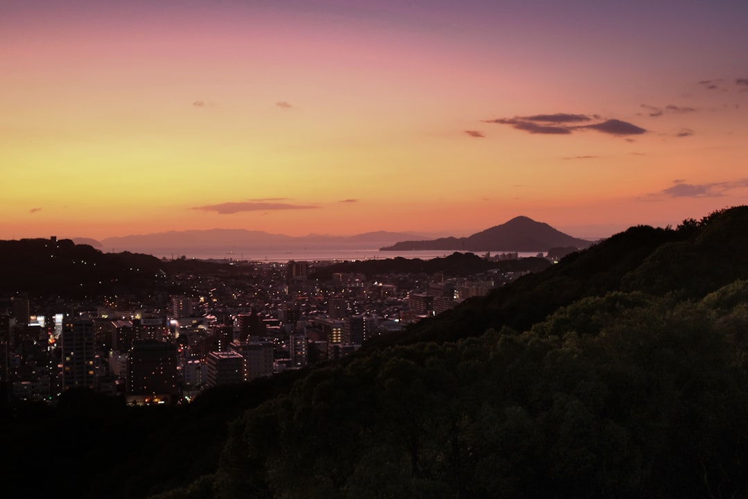 city skyline during night time