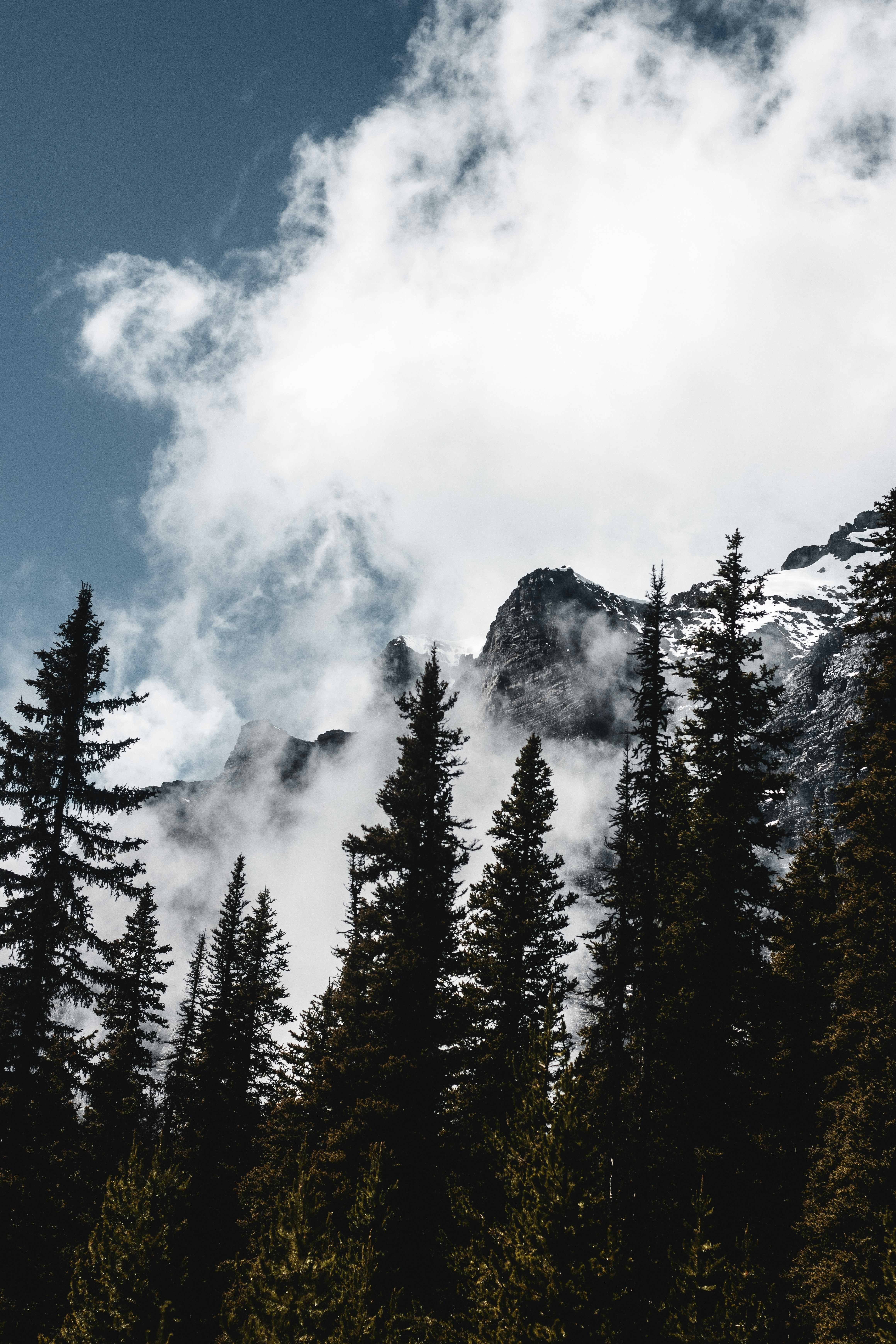 Photo by emilivna_photography