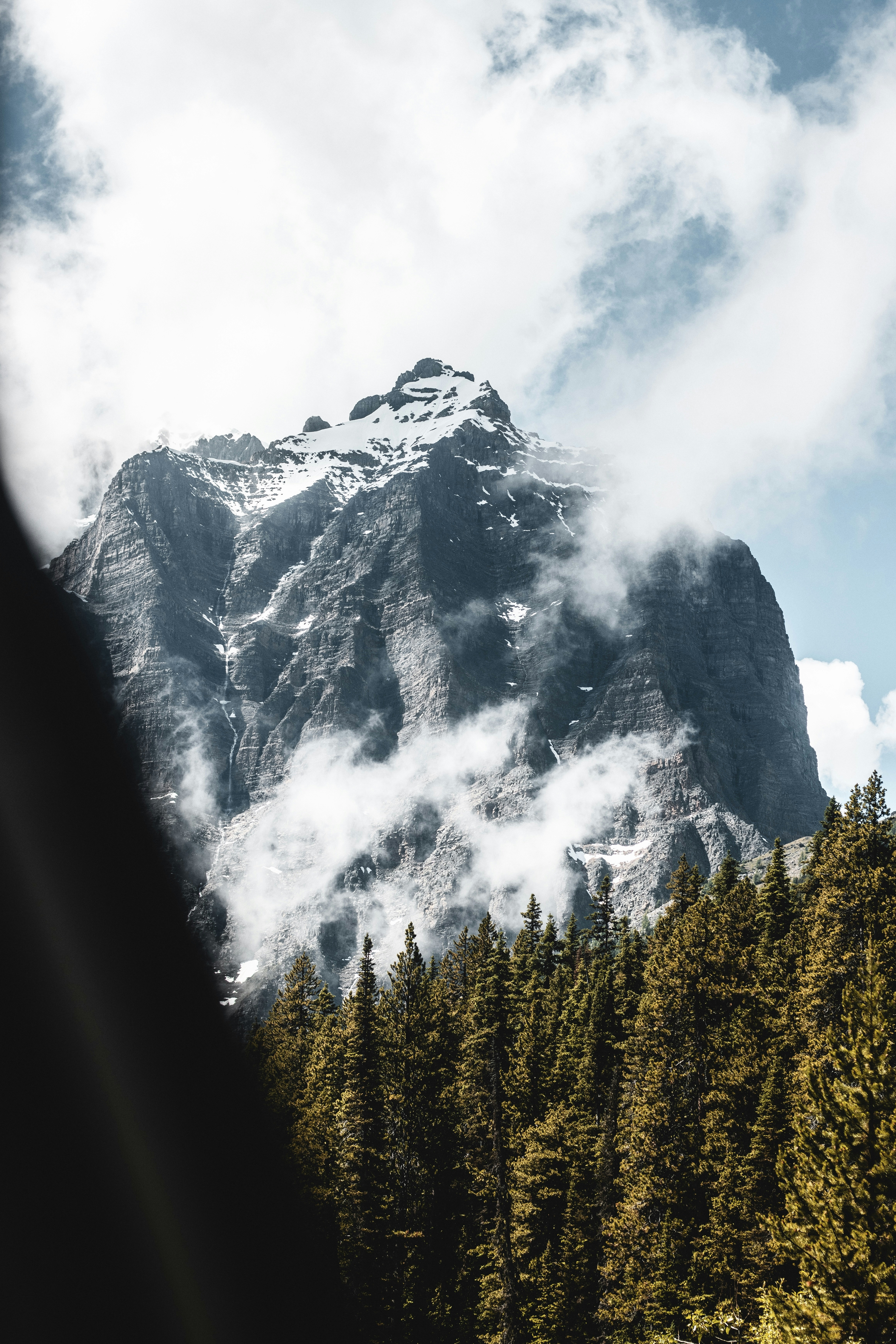 Photo by emilivna_photography