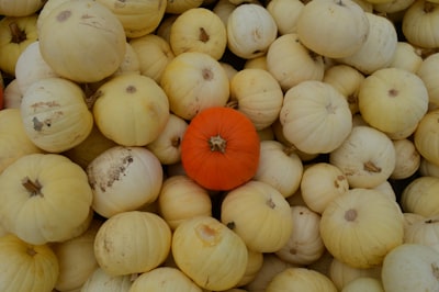 white and orange pumpkins on gray concrete floor bold teams background