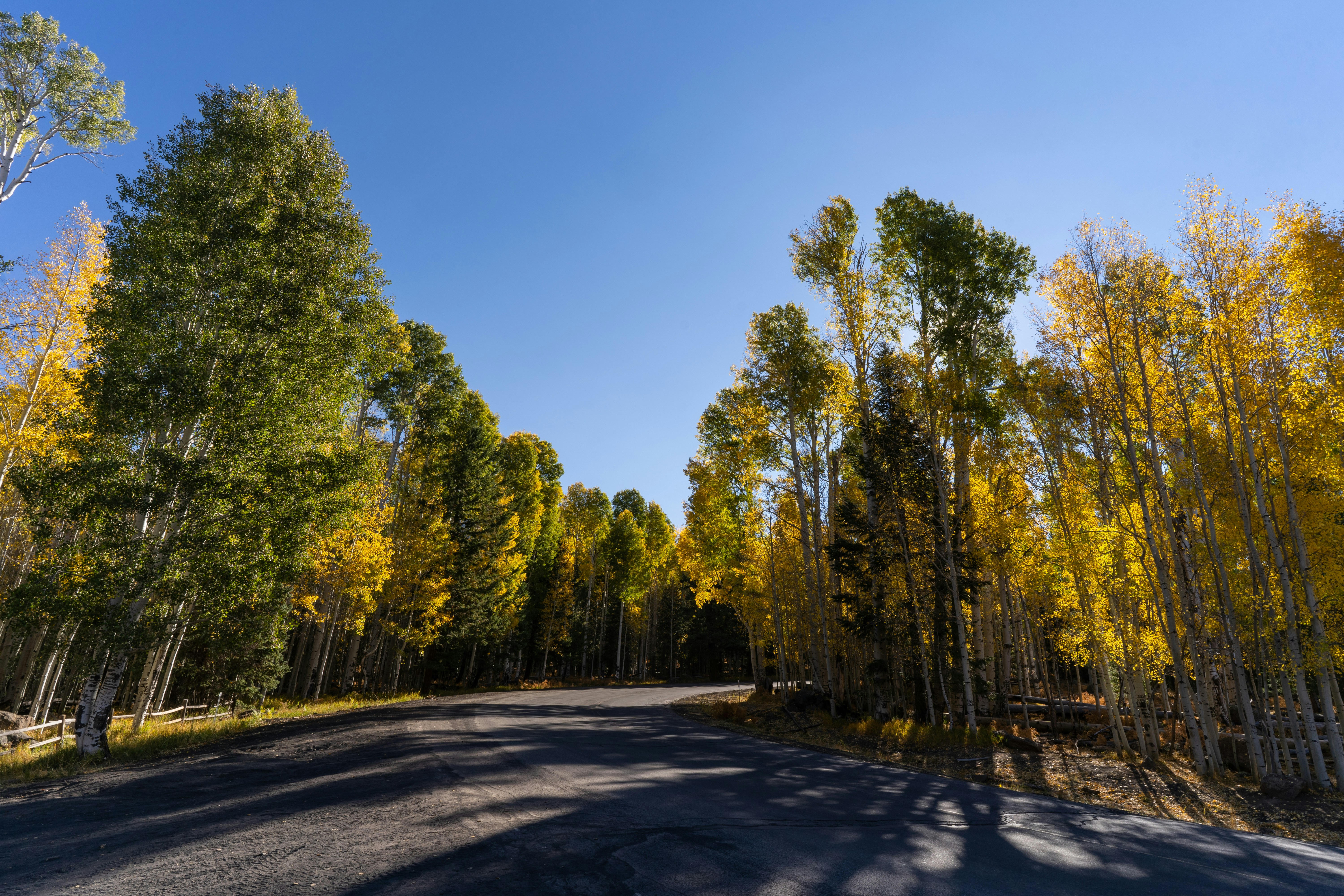 Driving through Flagstaff, Arizona