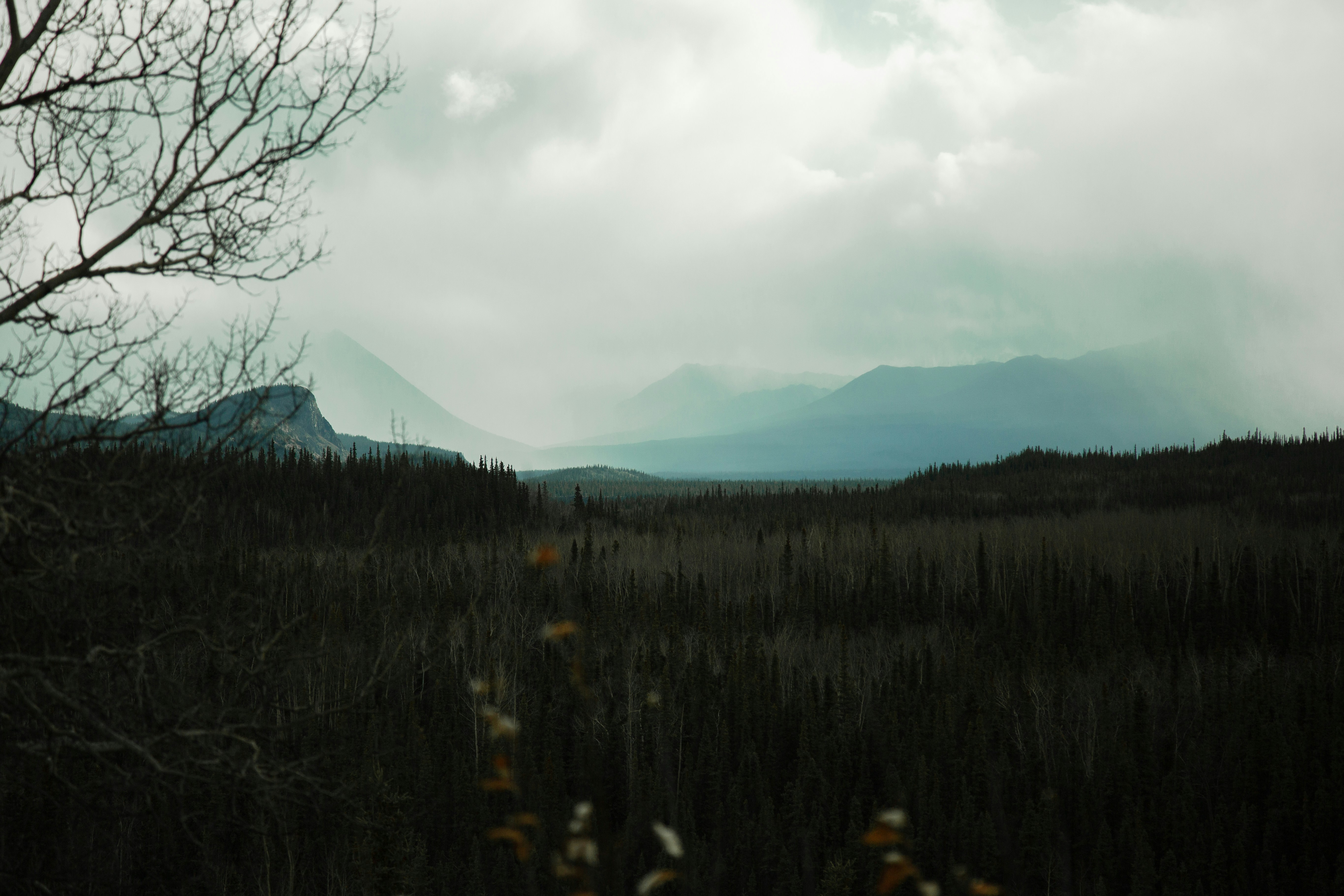 Photo by rgonzalezvisuals
