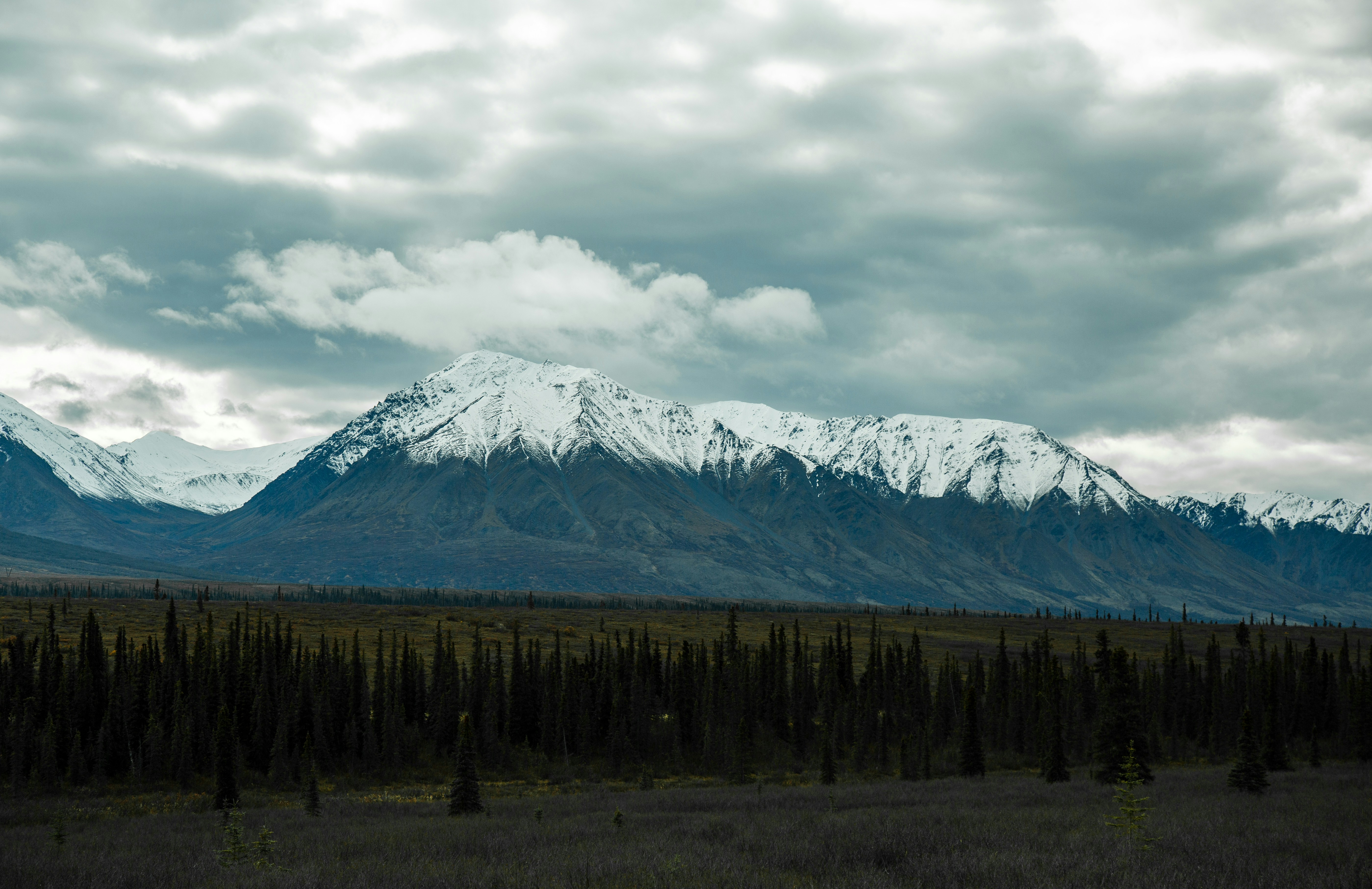 Photo by rgonzalezvisuals