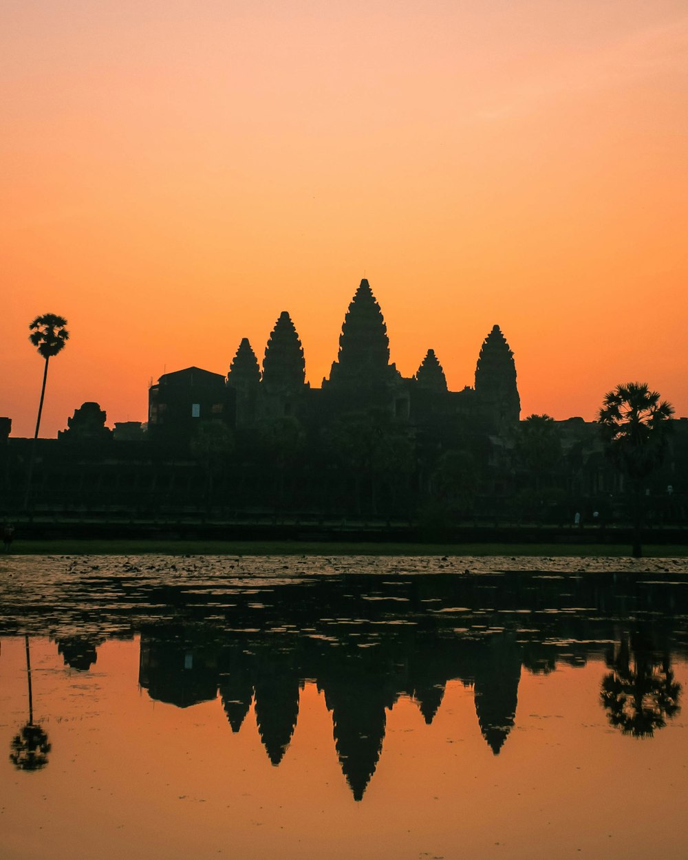 Silhouette von Bäumen in der Nähe von Gewässern bei Sonnenuntergang