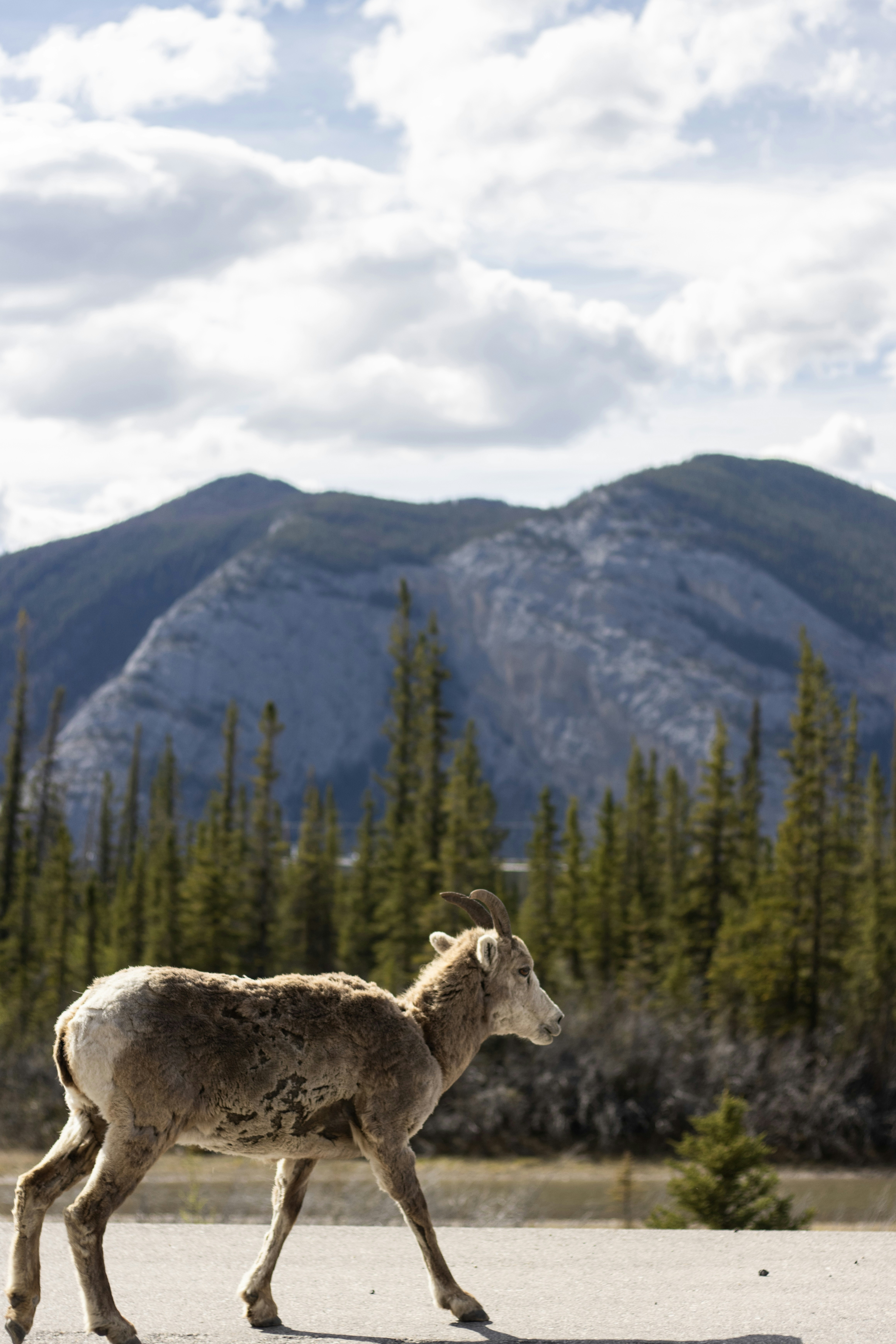 Photo by emilivna_photography