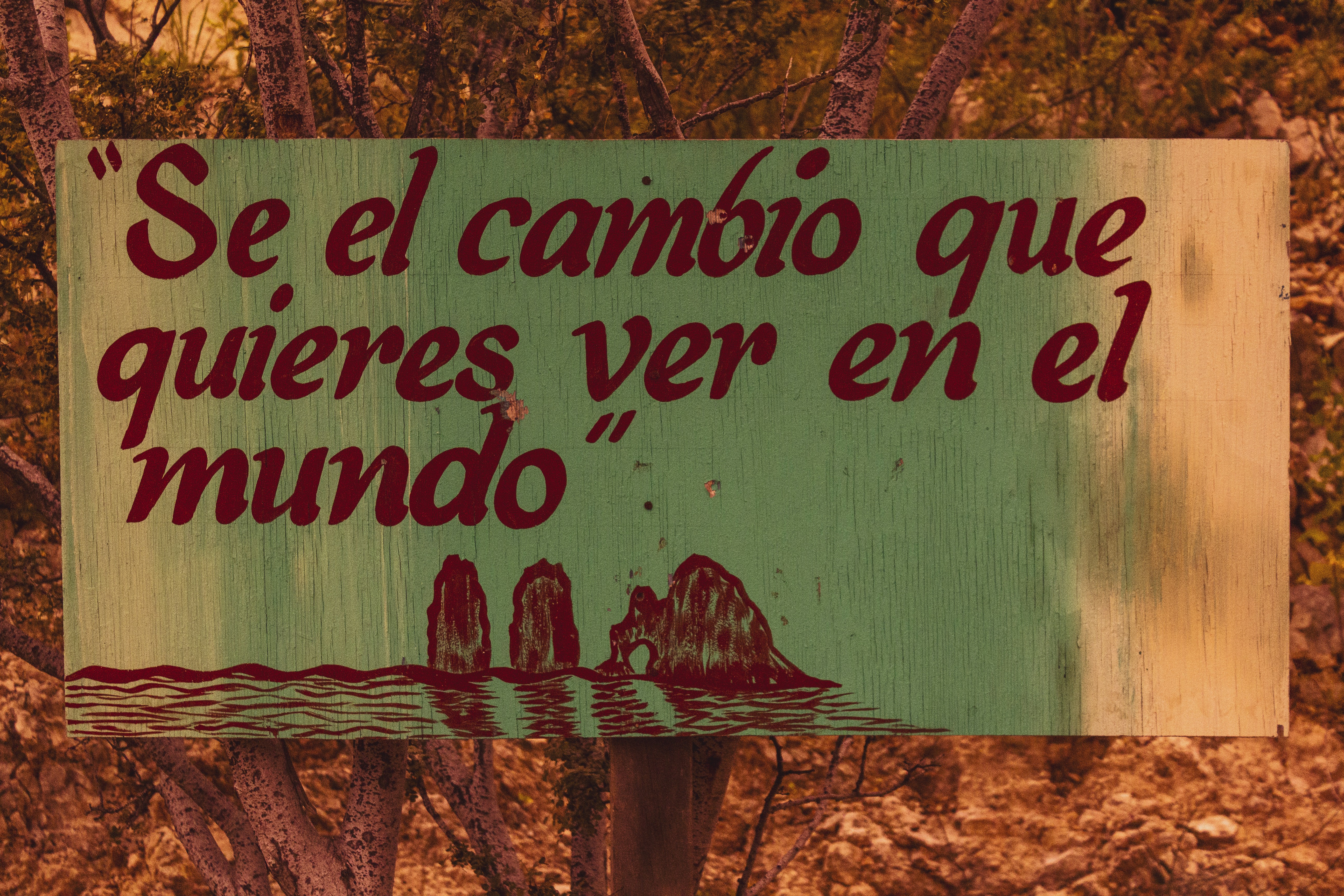 brown wooden hanging signage on brown tree