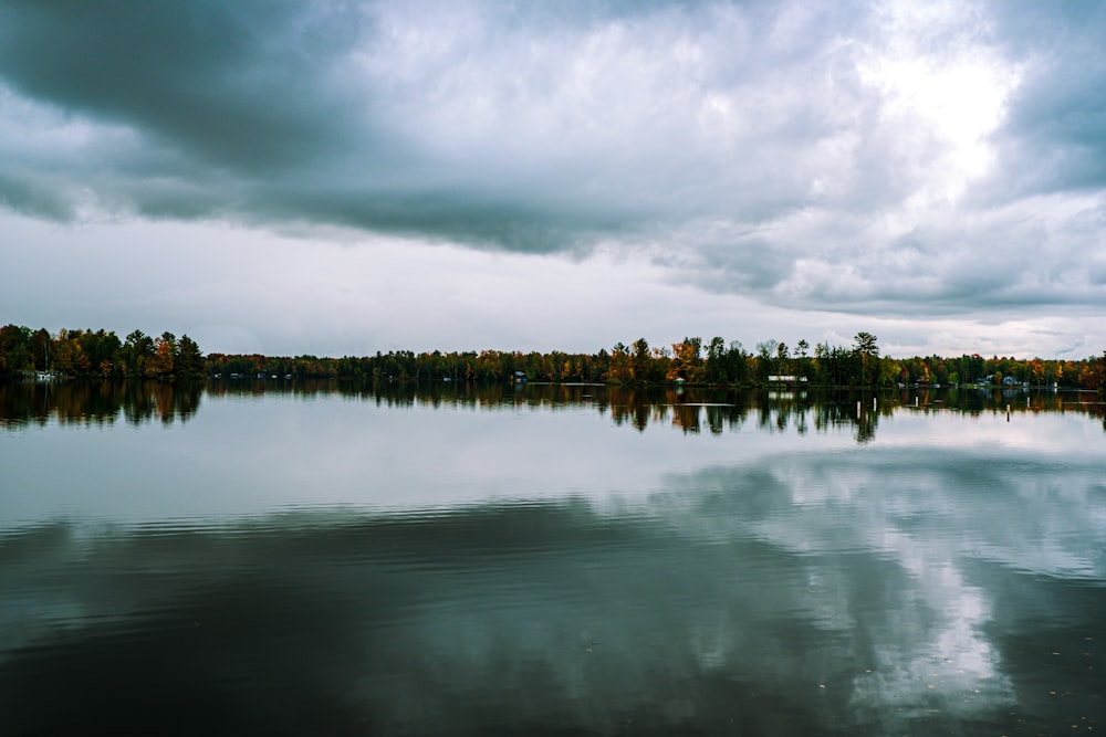 green trees beside body of water under cloudy sky during daytime