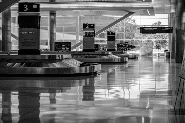A monochrome image of an airport baggage claim area with multiple carousels. The area is spacious, featuring sleek metallic structures and large glass windows allowing natural light to create reflections on the polished floor. Signs are placed above the carousels indicating their numbers, and a few plants can be seen near the windows.