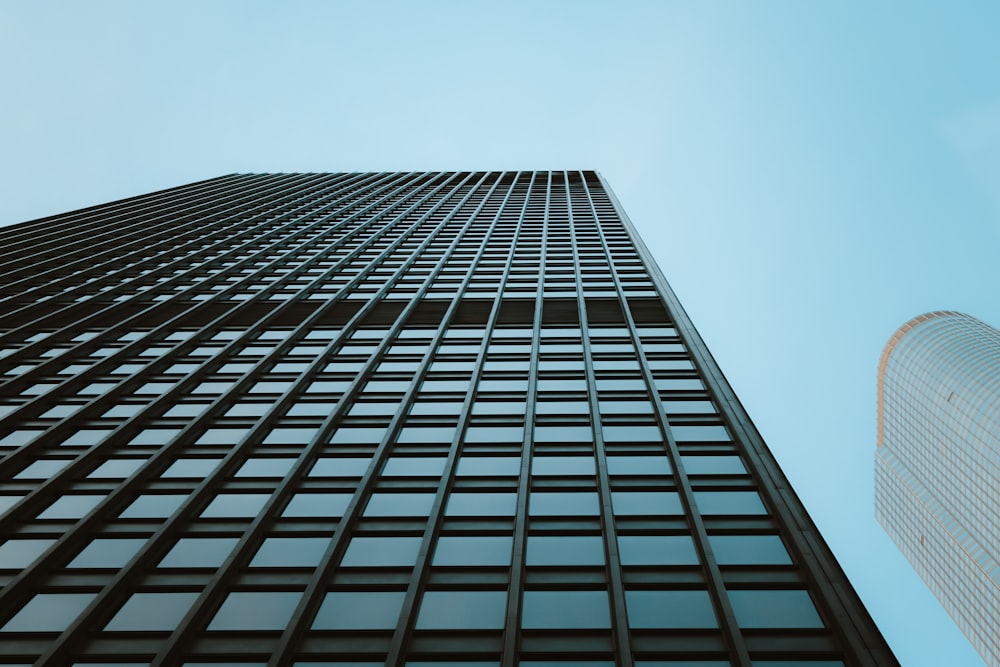 black and white high rise building