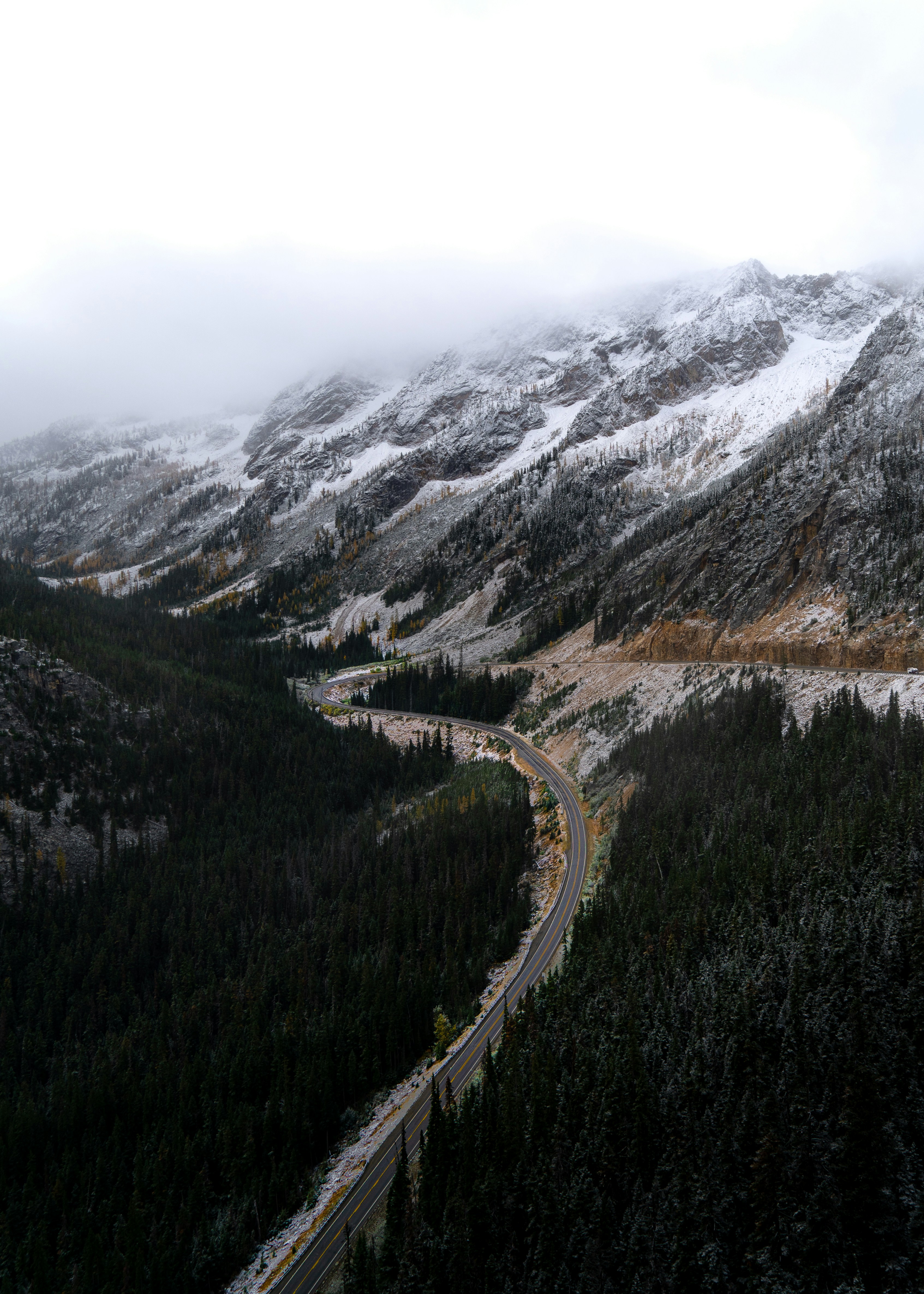 낮에는 산 근처의 푸른 나무