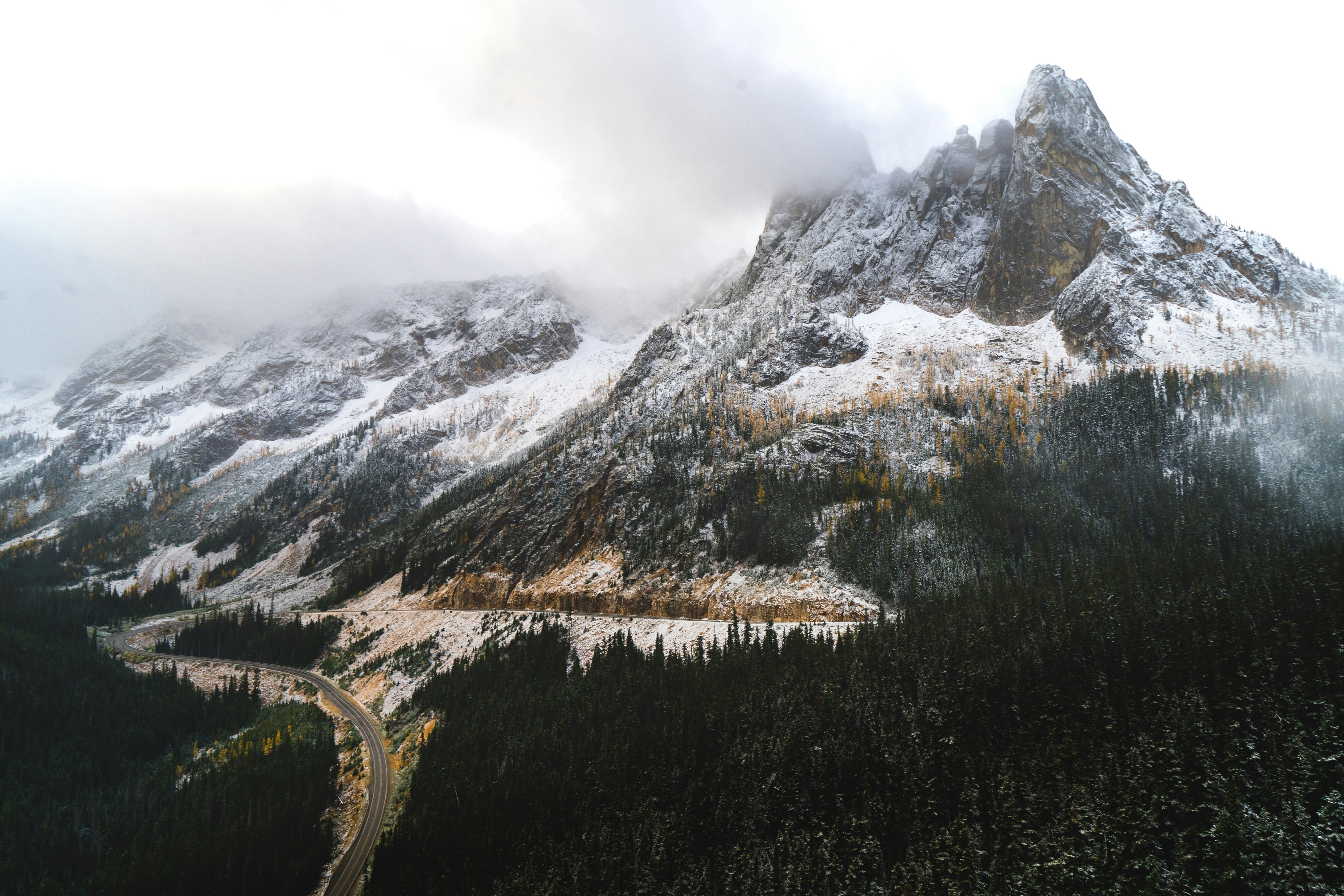 Photo by _tristanpineda