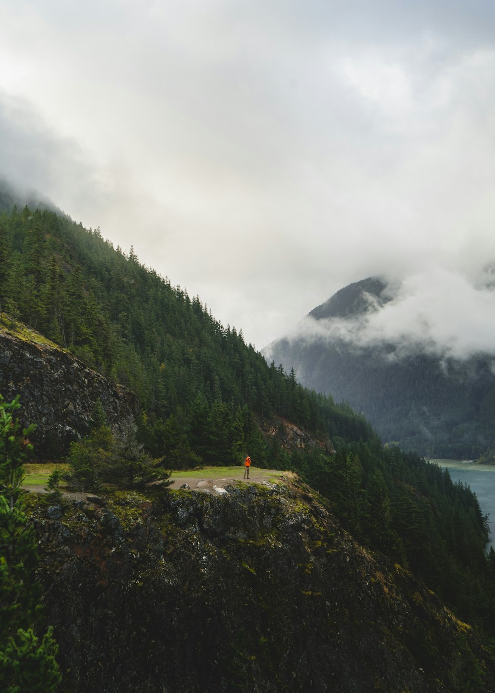 green trees on mountain near body of water during daytime