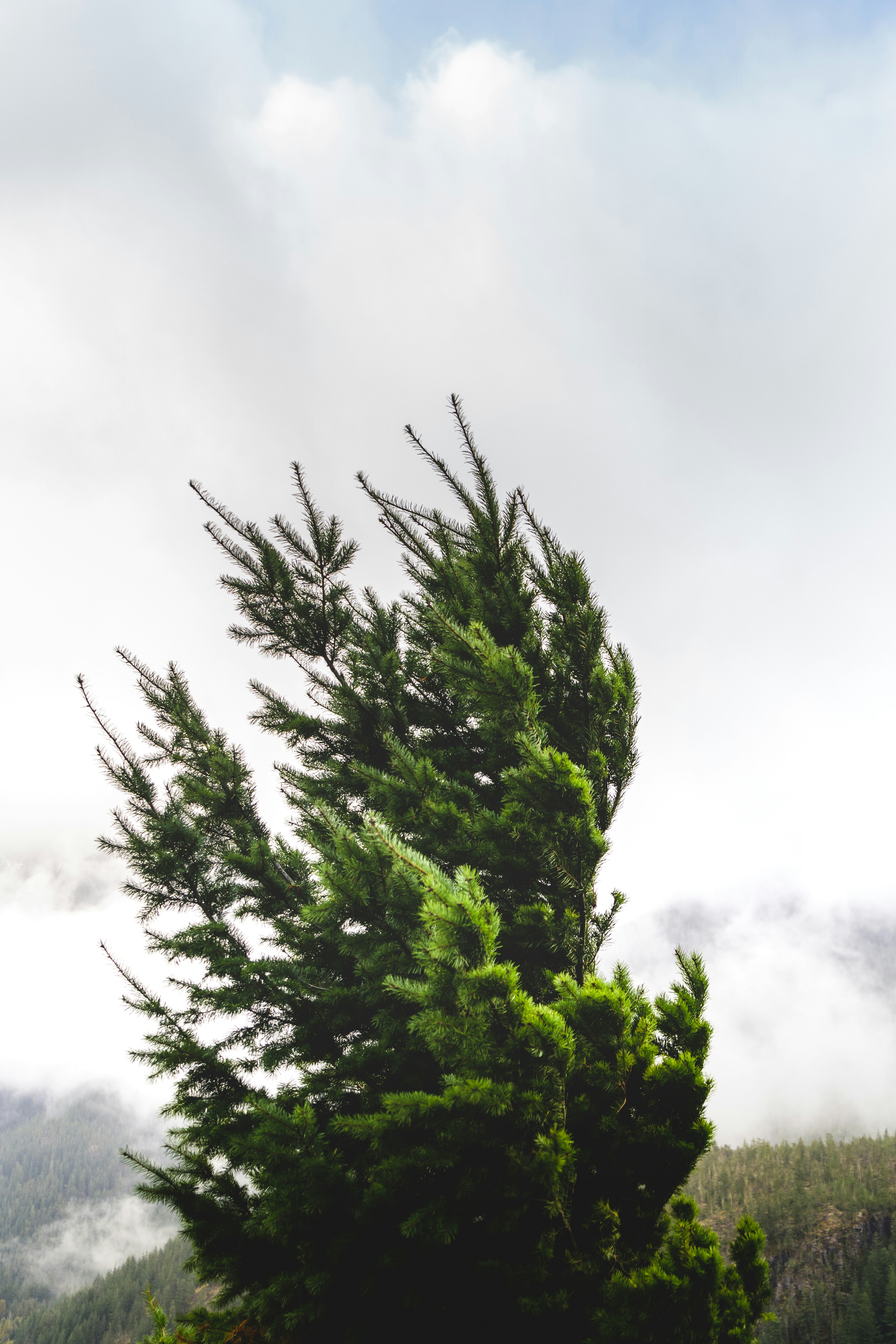 Photo by _tristanpineda