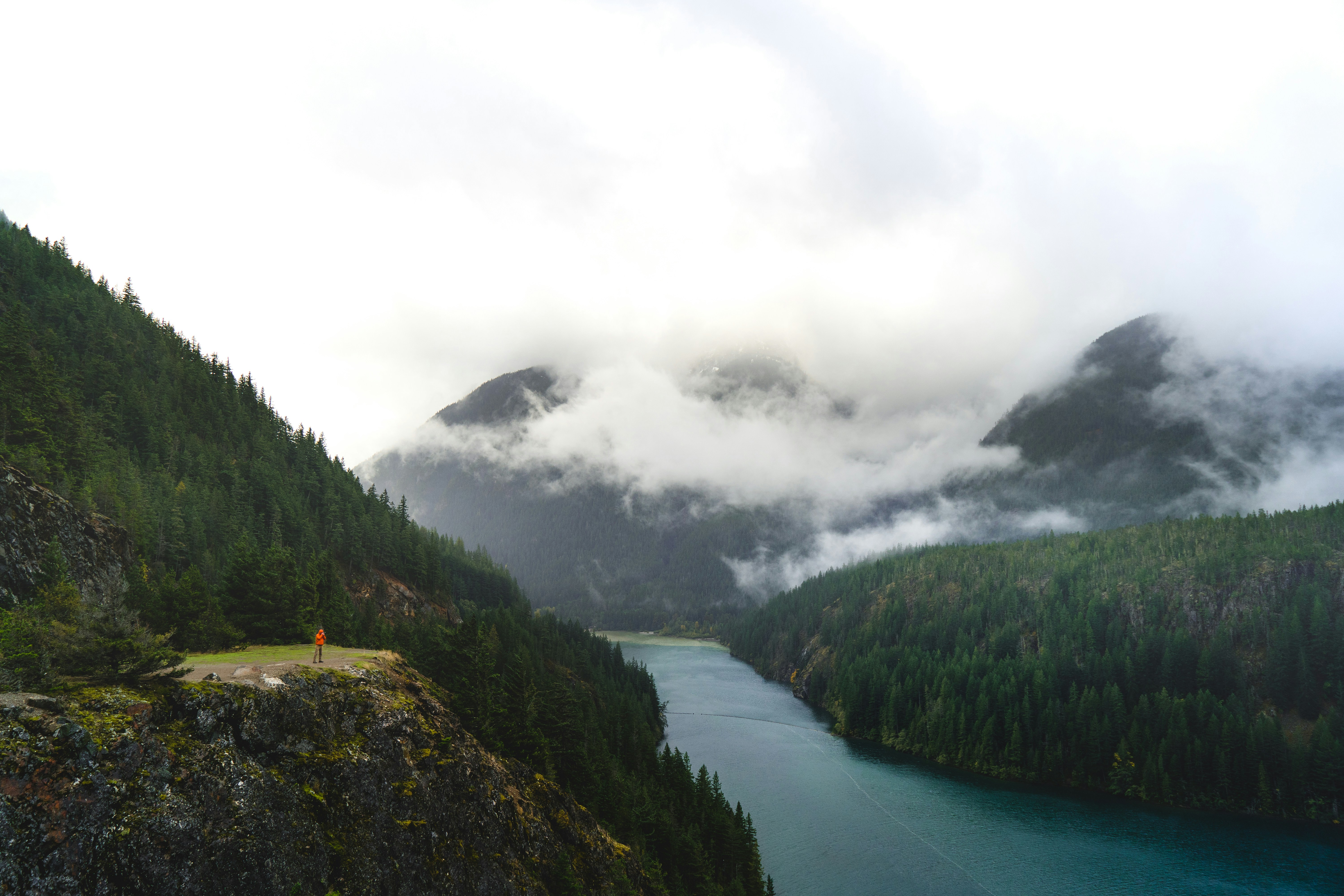 Photo by _tristanpineda