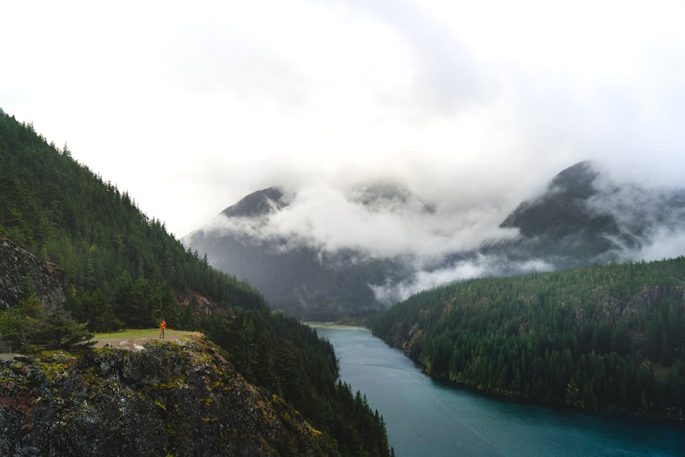 green trees near lake under white clouds during daytime