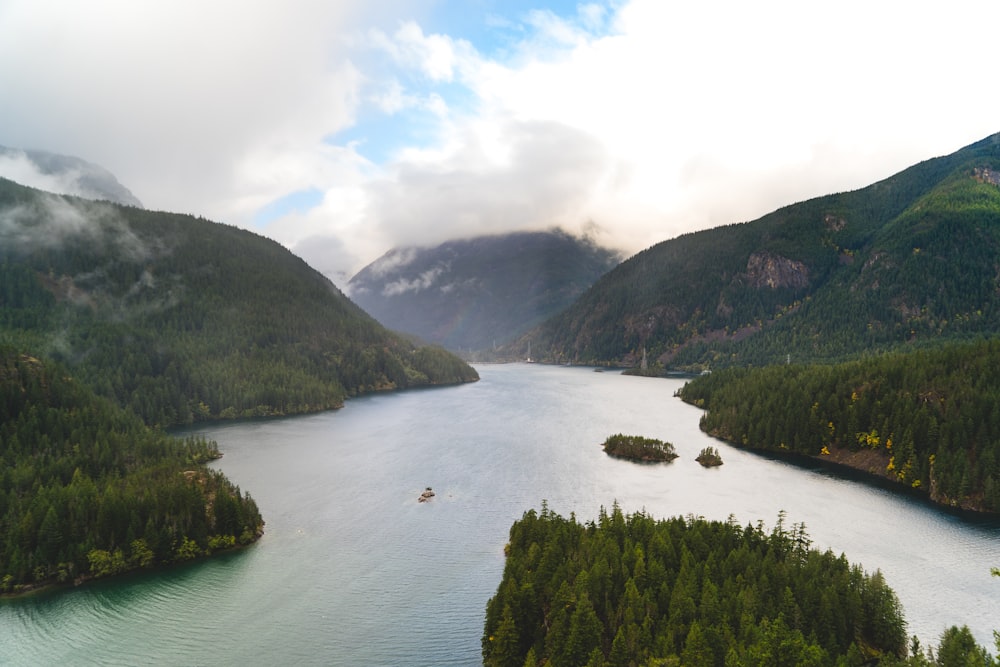 green trees near lake under white clouds during daytime