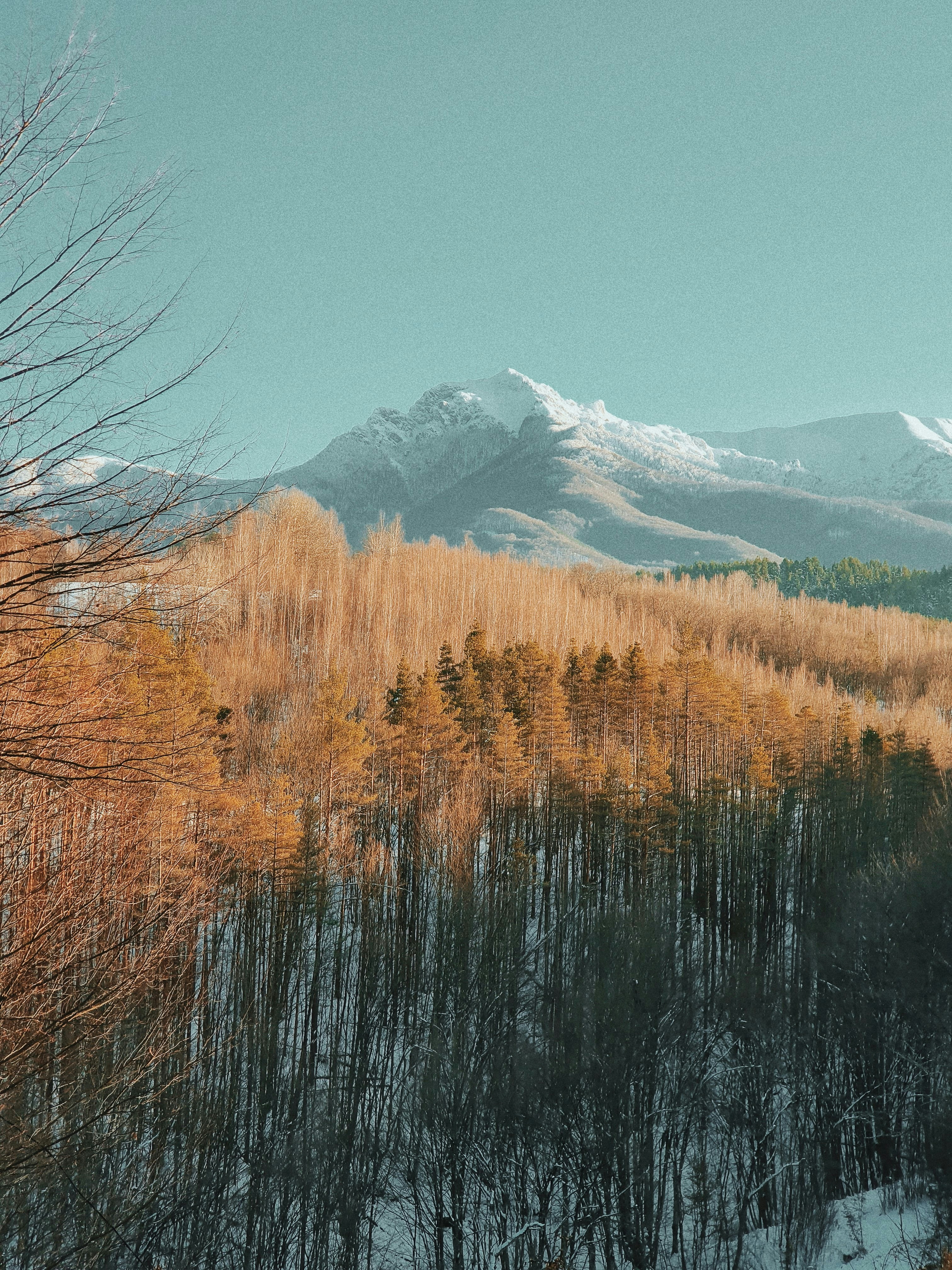 Photo by hrsahatchiev