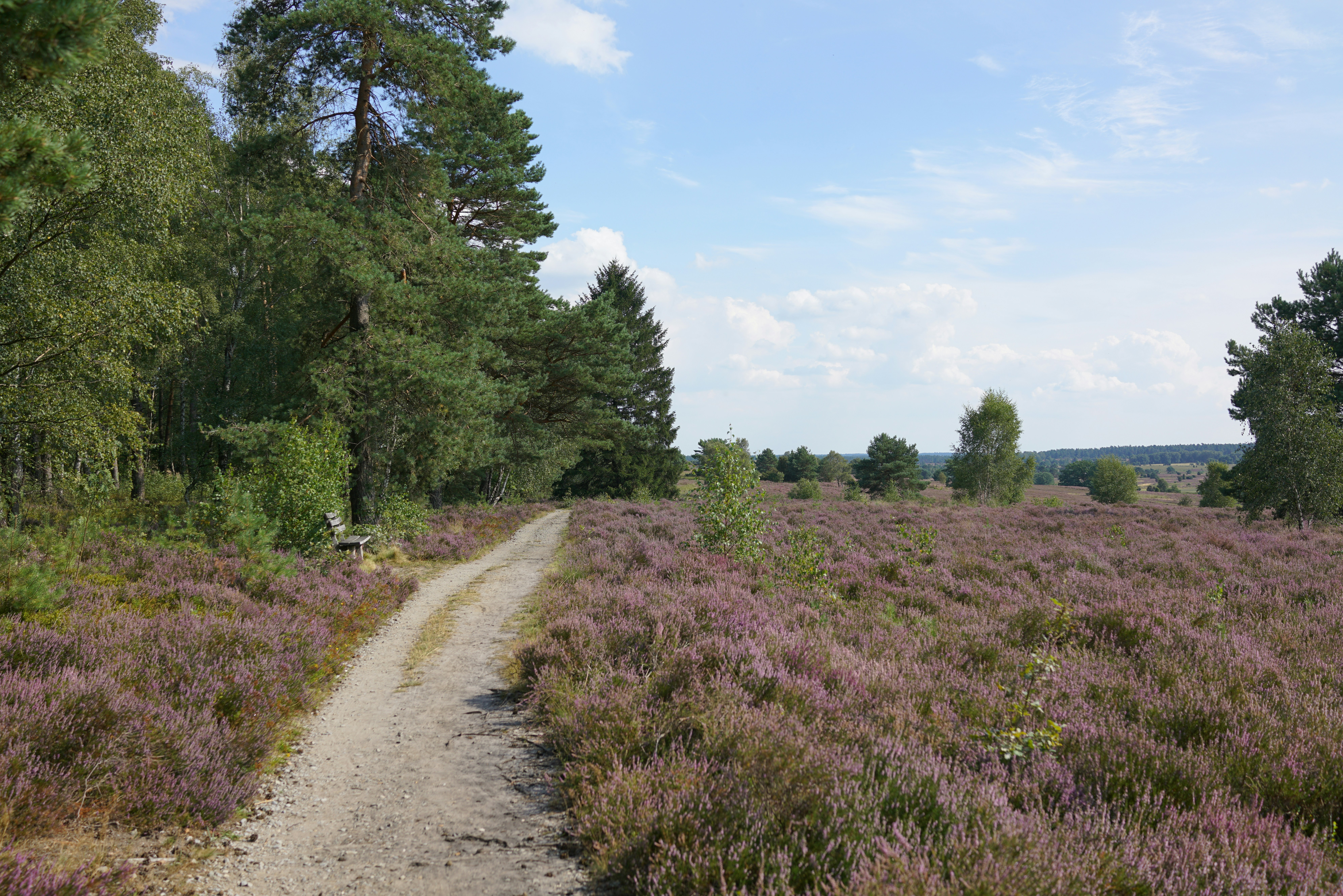 Photo by michael_2020