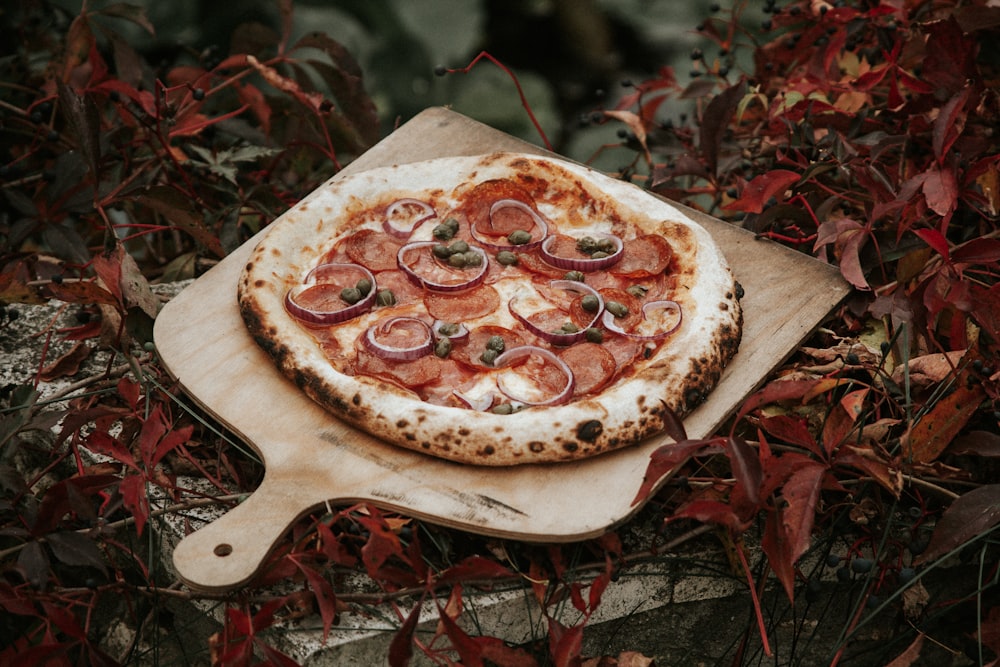 pizza on white ceramic plate