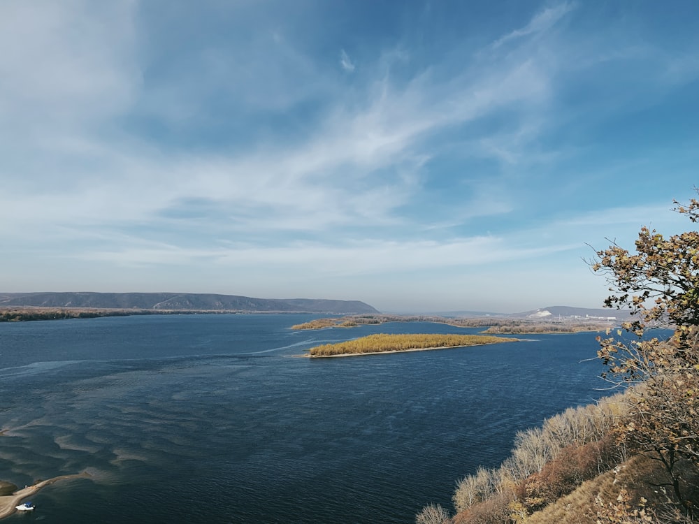 Campo de hierba verde cerca del cuerpo de agua bajo el cielo azul durante el día