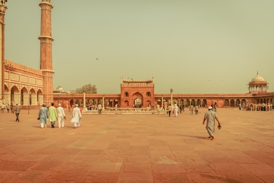 people walking on park during daytime in Jama Masjid India
