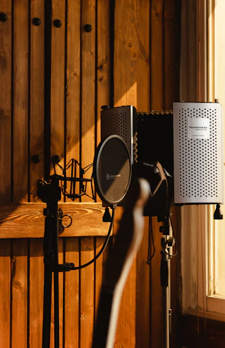black and gray microphone on stand