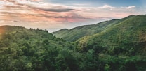 A sprawling landscape of lush green hills under a vibrant sky with hues of pink, orange, and blue. The sunlight illuminates the greenery, creating a serene and peaceful atmosphere. The horizon rolls gently, leading the eye toward the horizon.