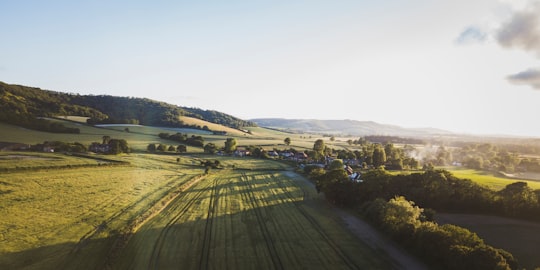 green grass field during daytime in Heyshott United Kingdom