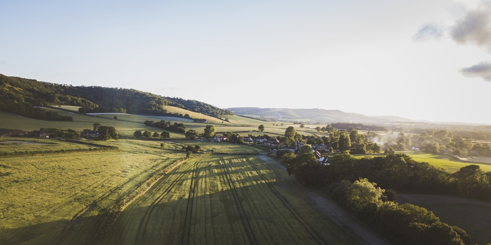 Champ d’herbe verte pendant la journée