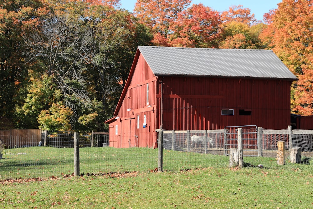 red wooden barn near trees during daytime