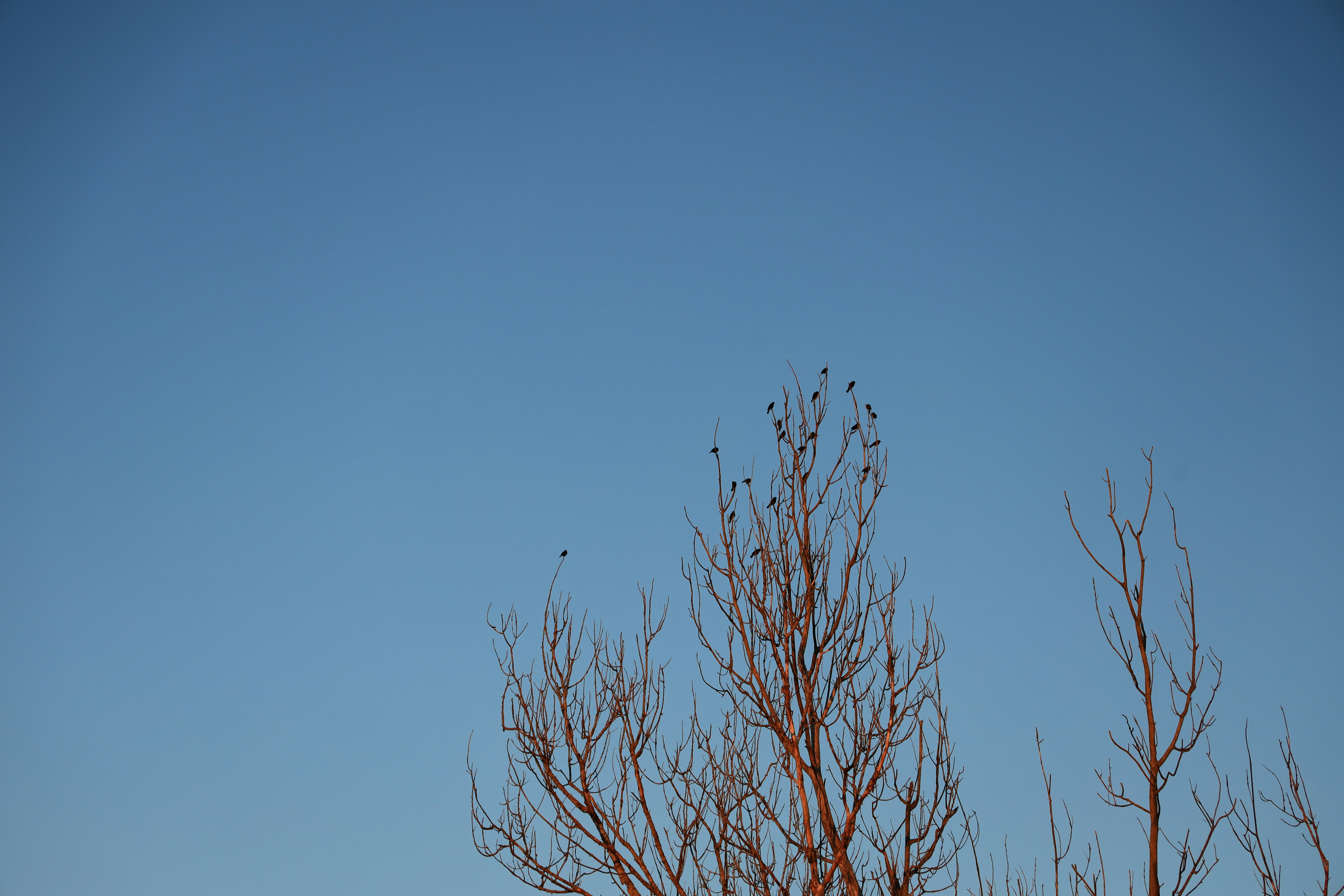 Photo by richardworks