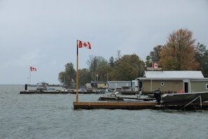Marina near Dunnville showing boats docked under a bright blue sky