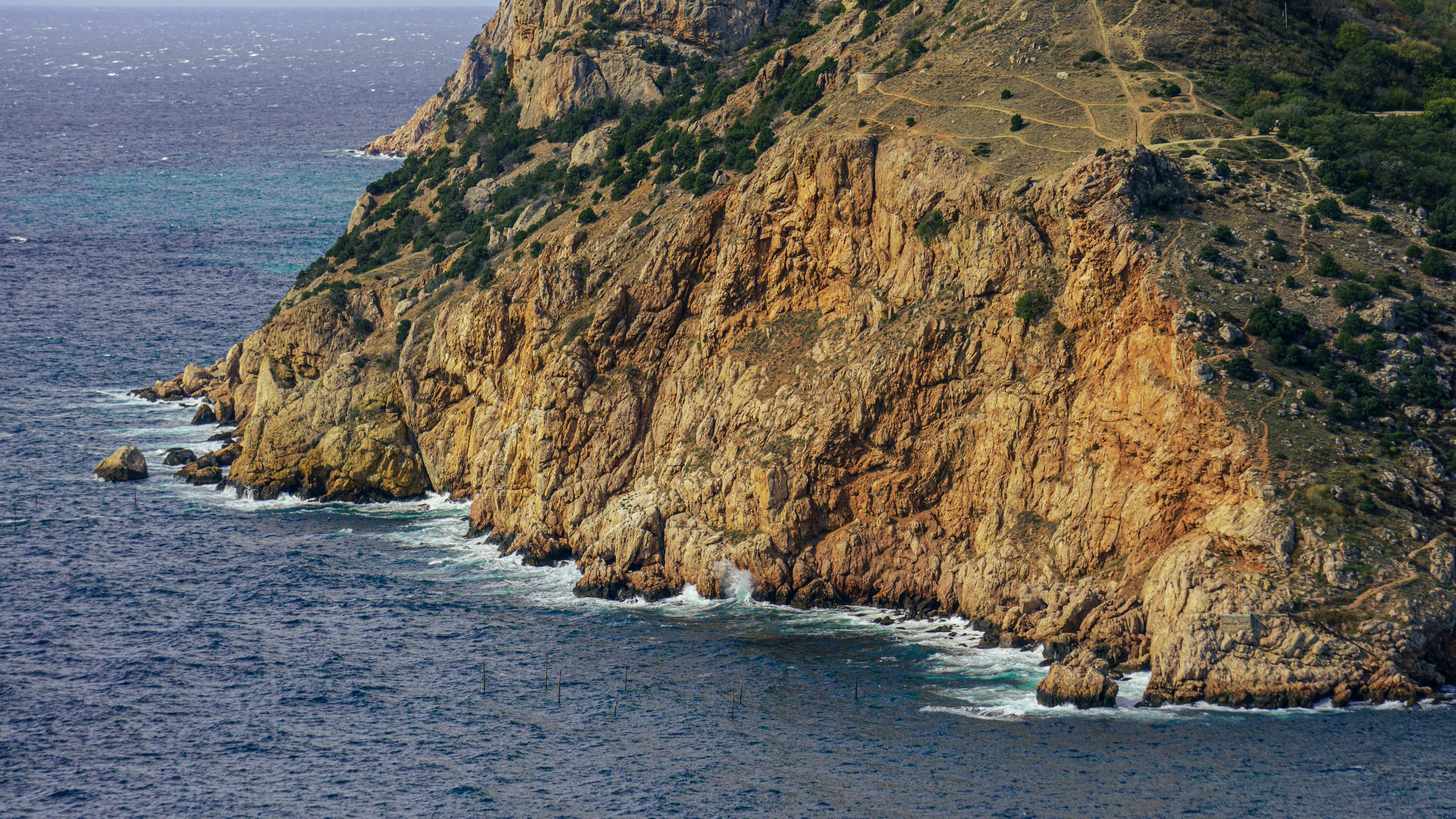 Photo by anainsomnia