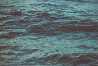 Slow-moving waves of oil creating a calm, rhythmic pattern.