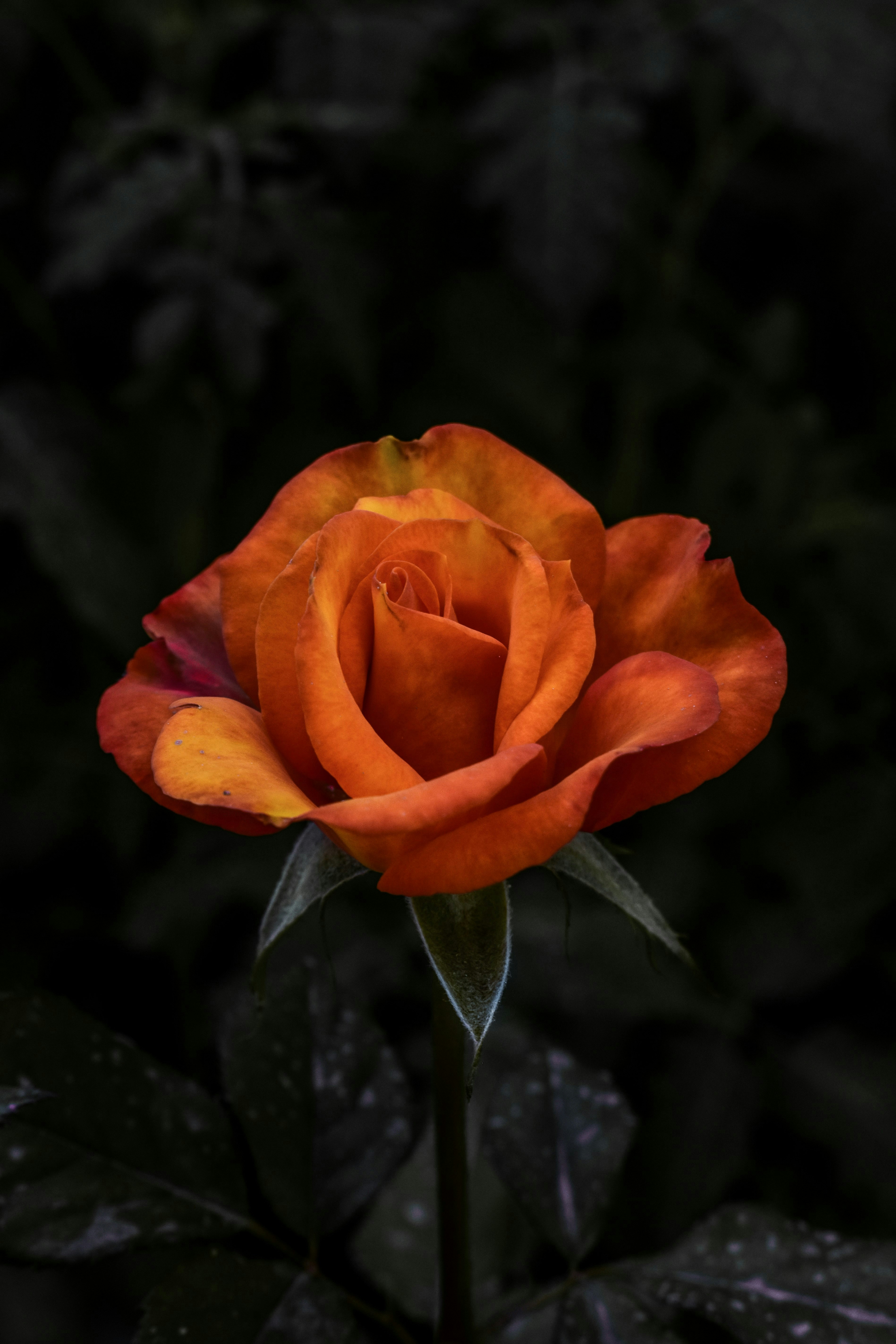 Photo by vandanpatel_