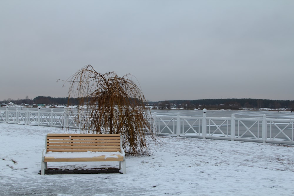 brown wooden bench on snow covered ground during daytime